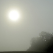 26th Sep 2015 - Morning Fog