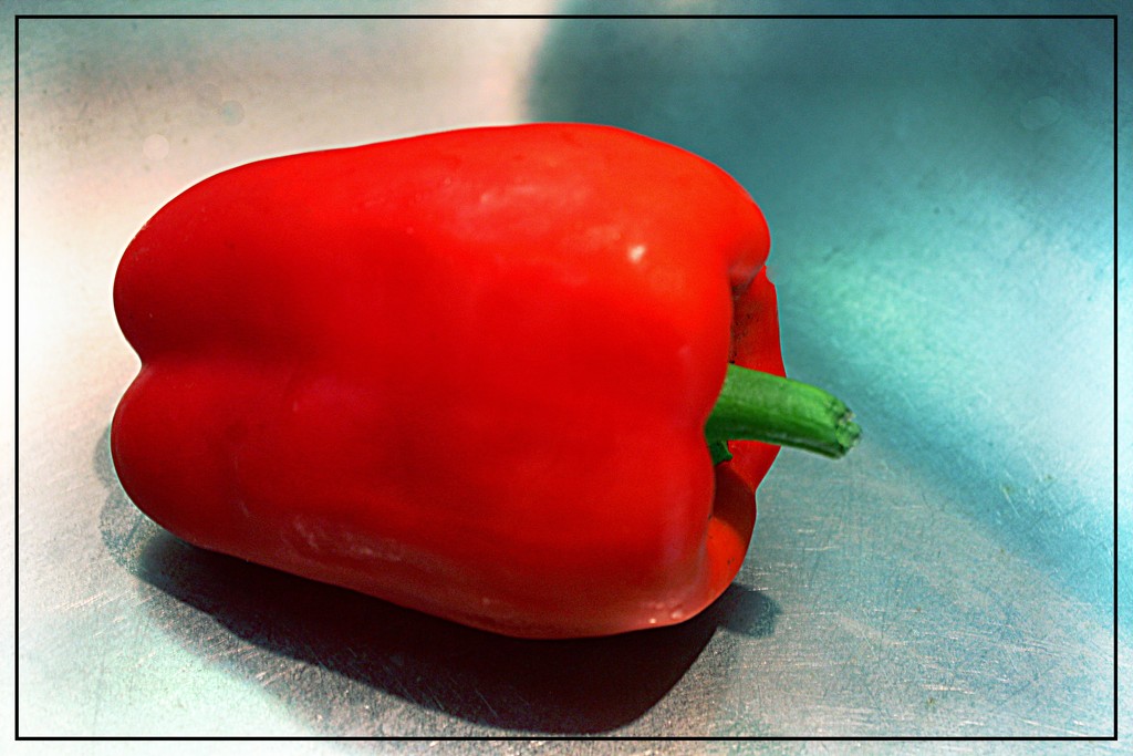 A Red Pepper in the Sink by olivetreeann