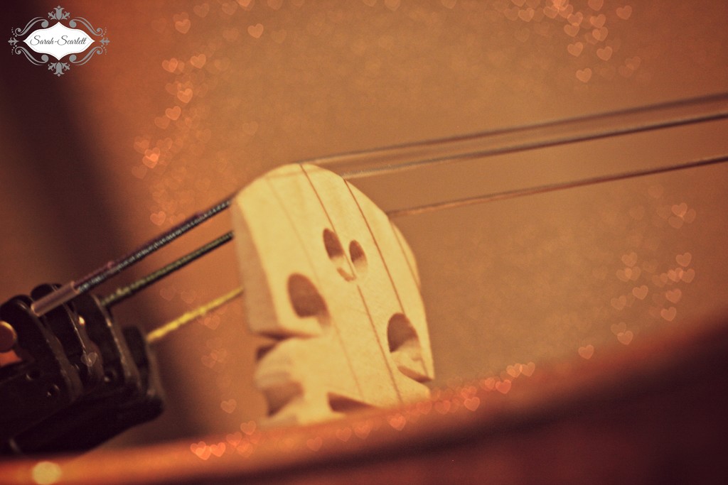 Violin bridge by sarahlh