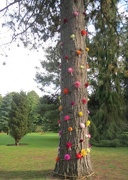 29th Sep 2015 - Dahlia Tree