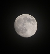 19th Nov 2010 - Our Moon
