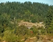 29th Sep 2015 - Oregon Hillside