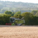 Harvest time. by shirleybankfarm