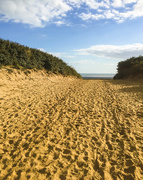 29th Sep 2015 - 29th September 2015     - Across the dunes to the sea