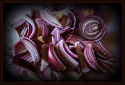 30th Sep 2015 - Red Onion