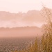 Misty Sunrise by shepherdmanswife