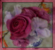 24th Sep 2015 - garden bouquet