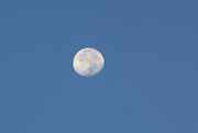 29th Sep 2015 - Moon