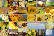 30th Sep 2015 - Month of Yellow