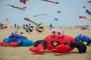 30th Sep 2015 - It Was A Crabby Day At The Beach