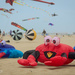 It Was A Crabby Day At The Beach by lesip