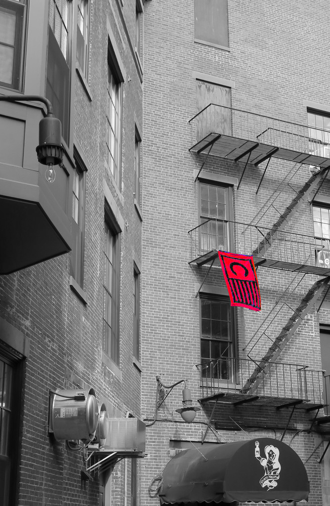 The Flag on the Fire Escape by april16