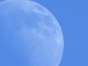 28th Sep 2015 - Blue Moon