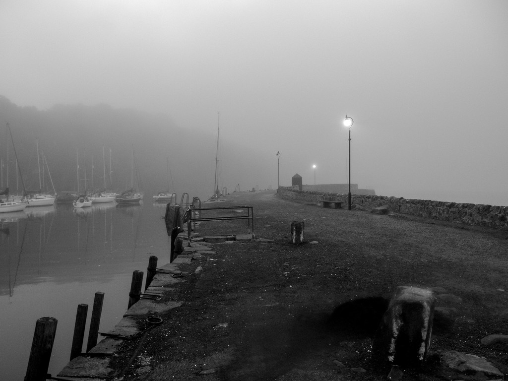 Foggy Harbour by frequentframes