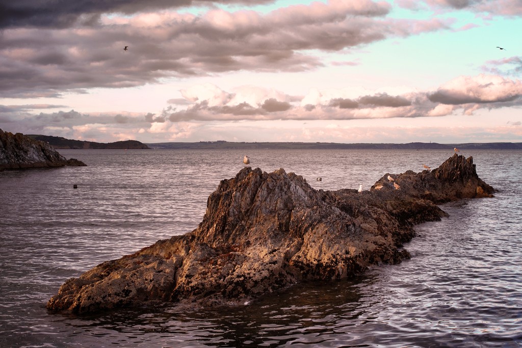 Seagull Rock by swillinbillyflynn