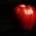 A Crisp Red Apple by judyc57