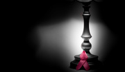 1st Oct 2015 - shedding light on Breast Cancer Awareness