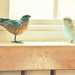 Birds on the Window Sill by mhei