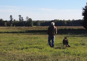 28th Sep 2015 - The Hunt For Sandhill Cranes