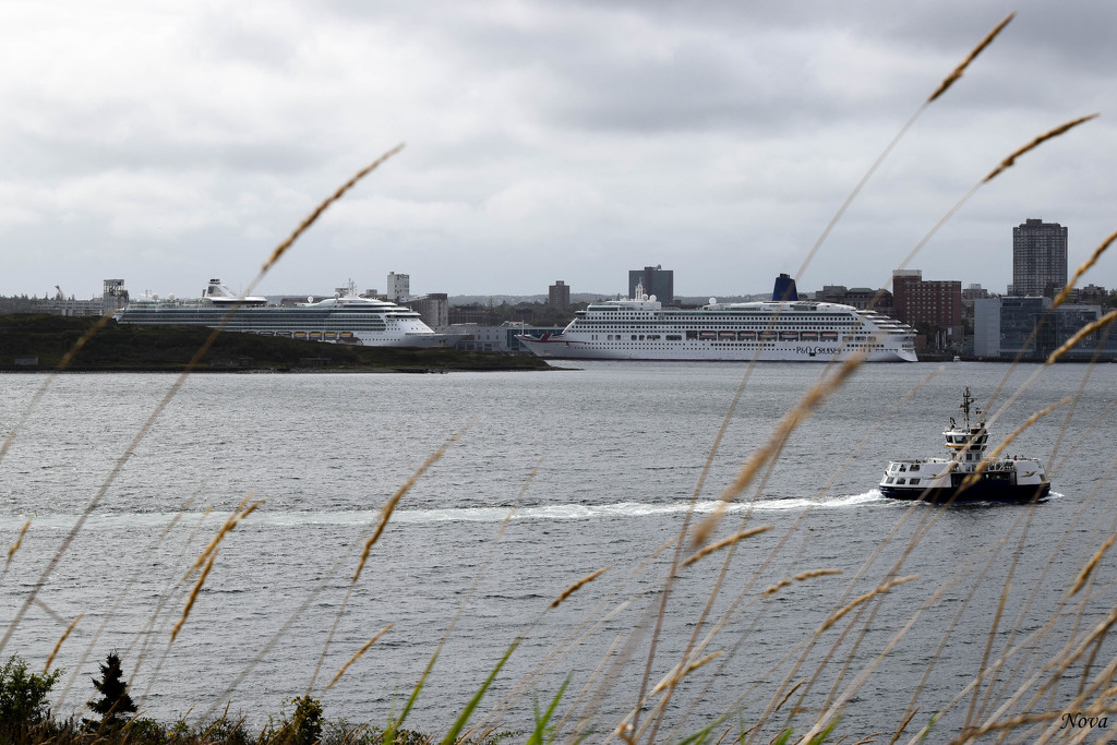 Cruise ship parking in Halifax by novab