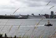 2nd Oct 2015 - Cruise ship parking in Halifax