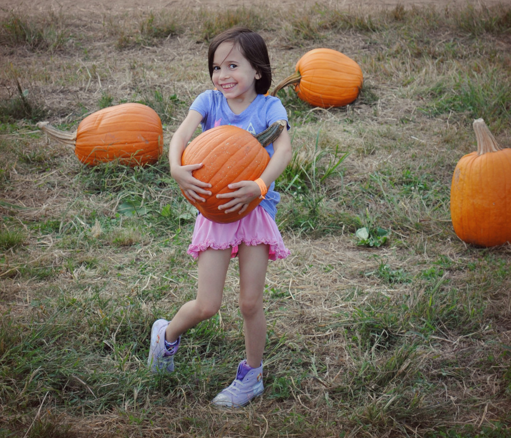 It's Pumpkin Season!! by alophoto