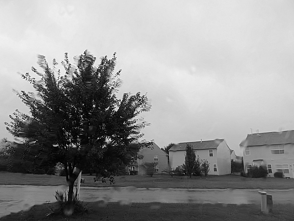 Day 9 of rain! by homeschoolmom