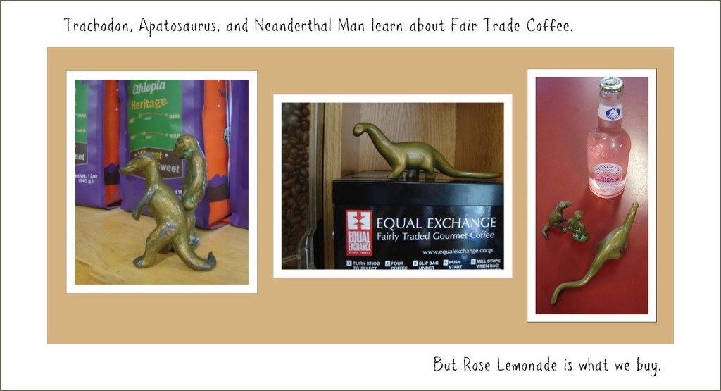 Fair Trade Coffee by mcsiegle