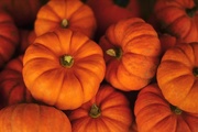 3rd Oct 2015 - Pumpkins for sale...