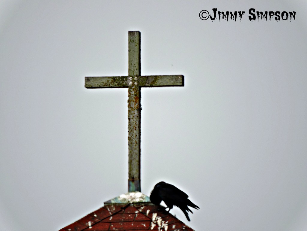 Crow Crossing... by soylentgreenpics