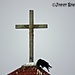 Crow Crossing... by soylentgreenpics