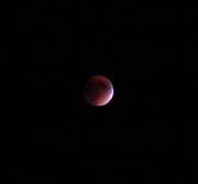 27th Sep 2015 - Eclips