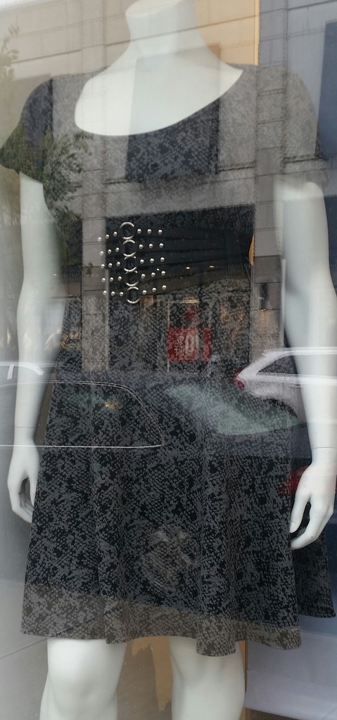 Window Shopping by photogypsy