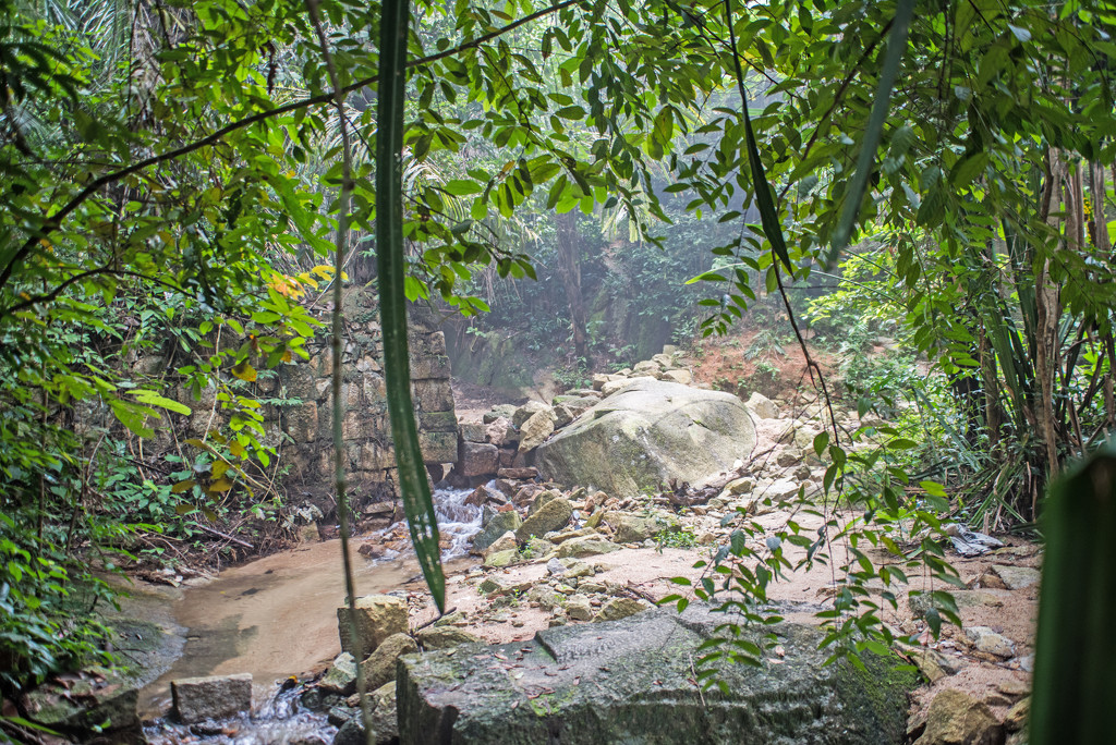 Mountain stream, Kebun Bungah1 by ianjb21