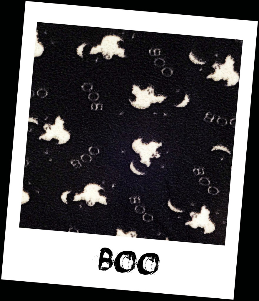 Happy Day 11 - Boo Blanket by linnypinny