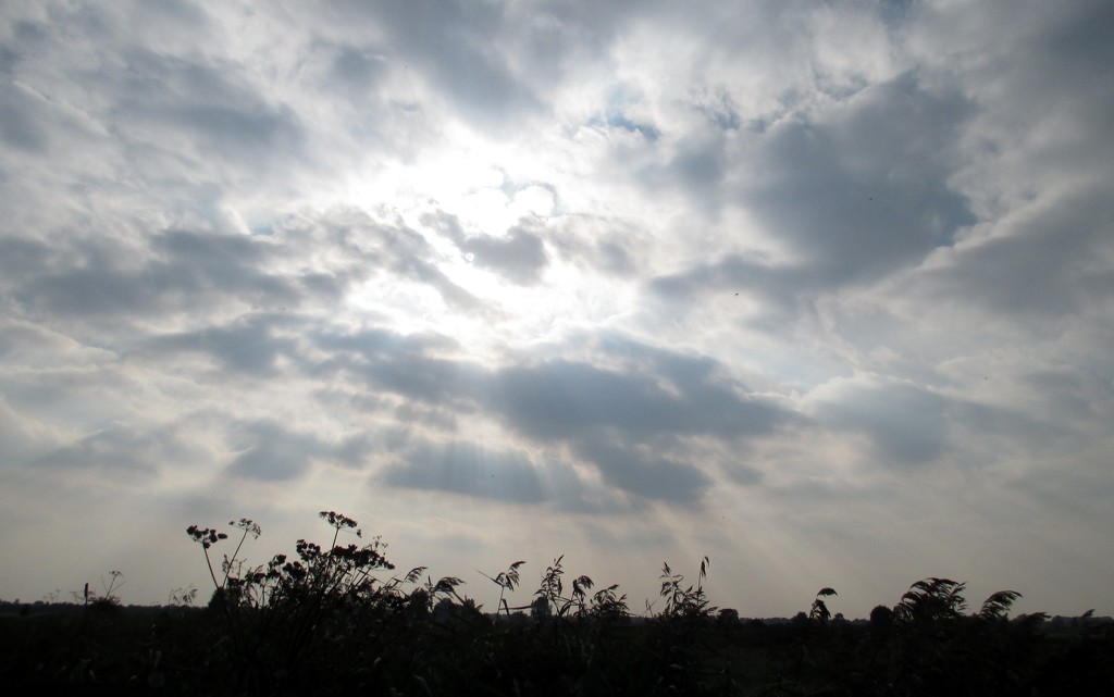 Fenland sky by g3xbm