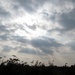 Fenland sky by g3xbm