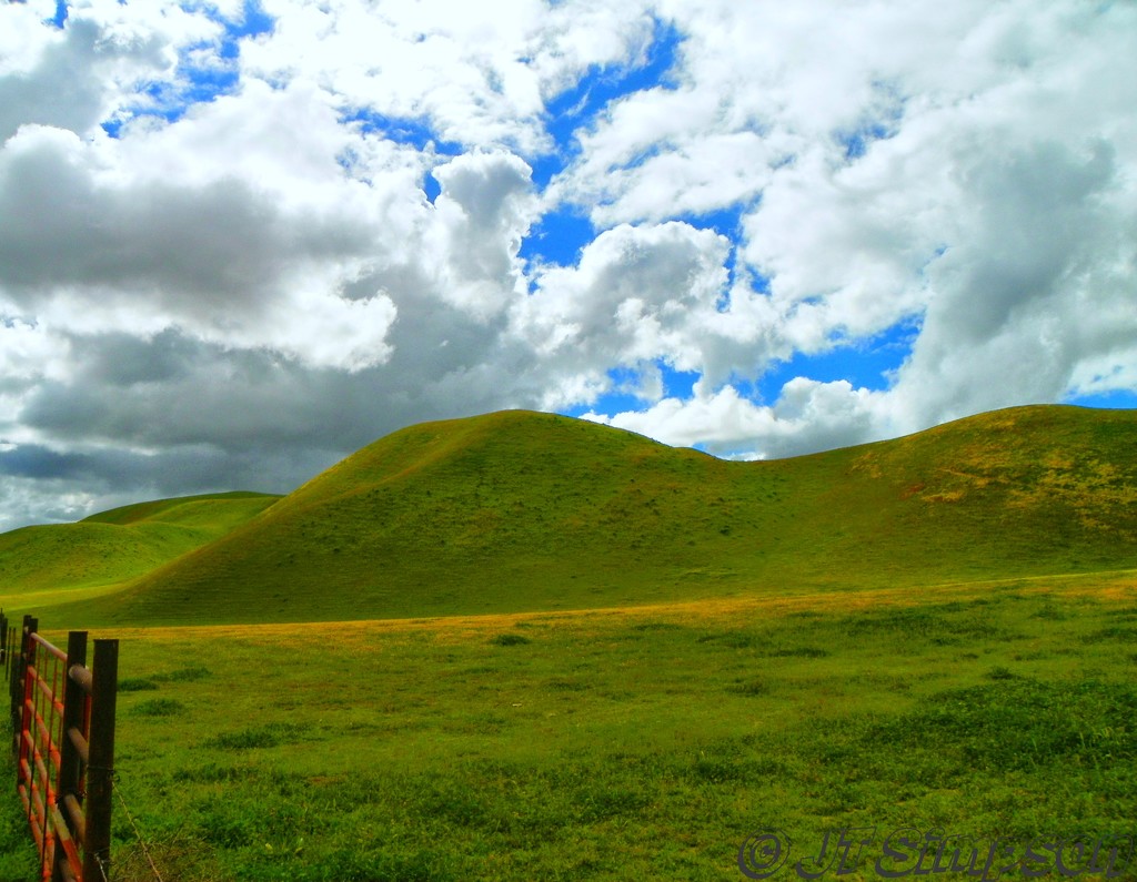 Rolling hills of green... by soylentgreenpics
