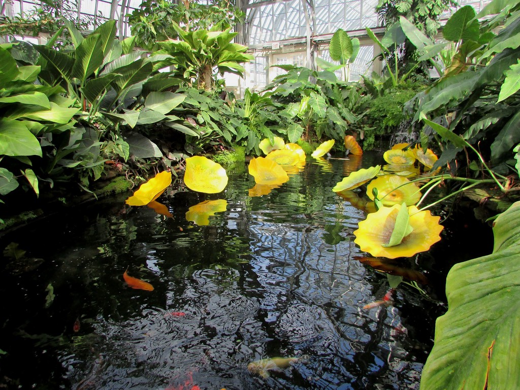 Glass Lily Pads by tunia