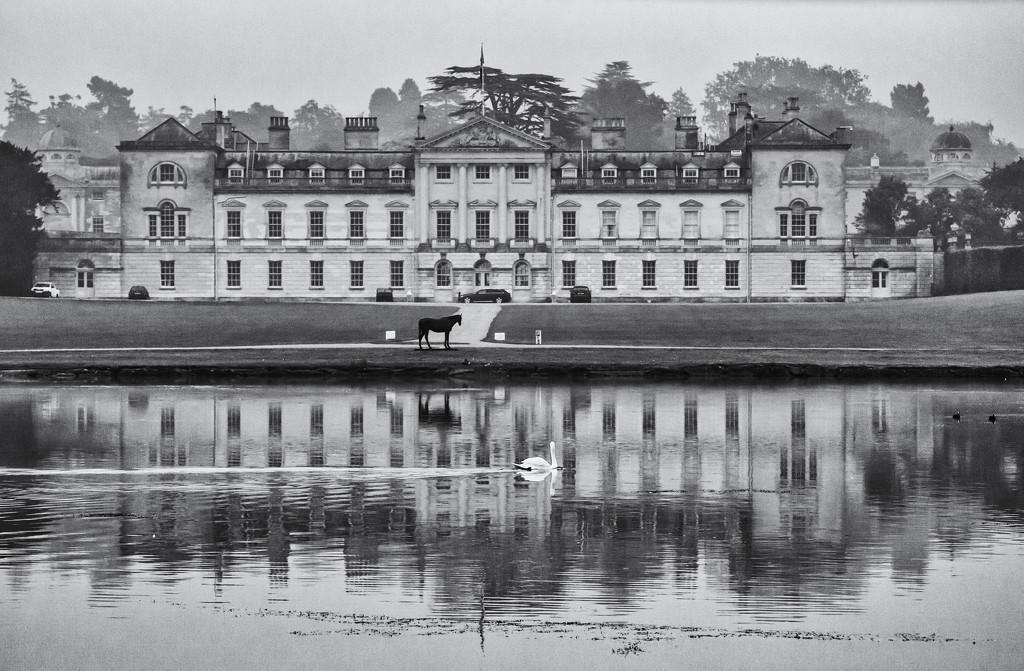 4th October 2015     - Woburn Abbey by pamknowler