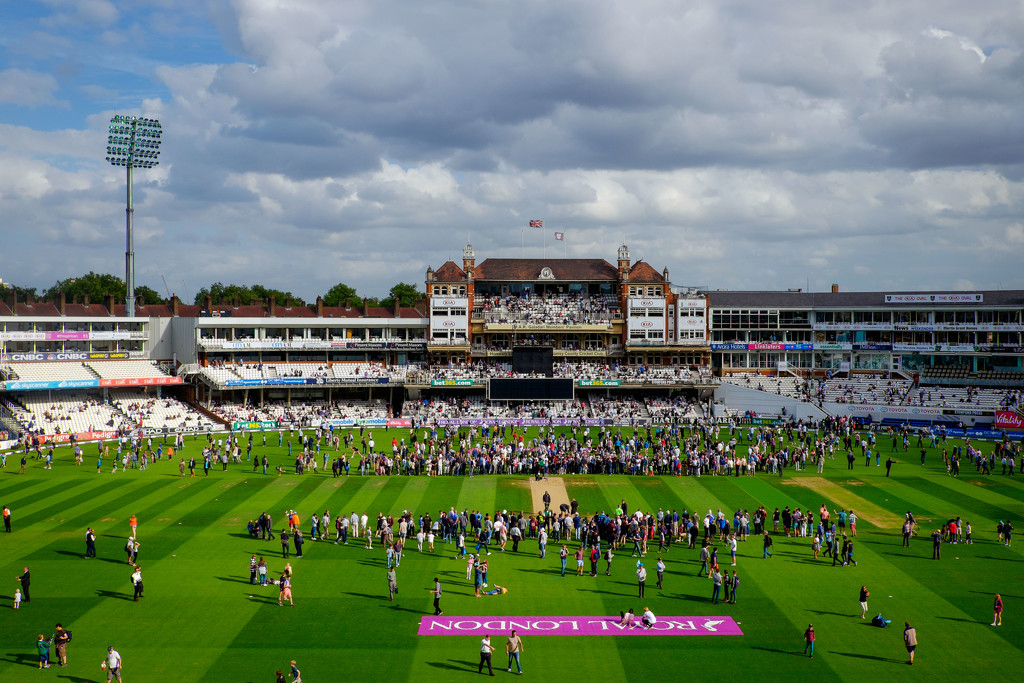 Day 218, Year 3 - Overrun At The Oval by stevecameras