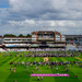 Day 218, Year 3 - Overrun At The Oval by stevecameras
