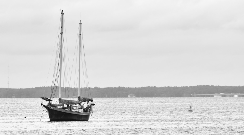 Sailboat Waiting to go by rickster549