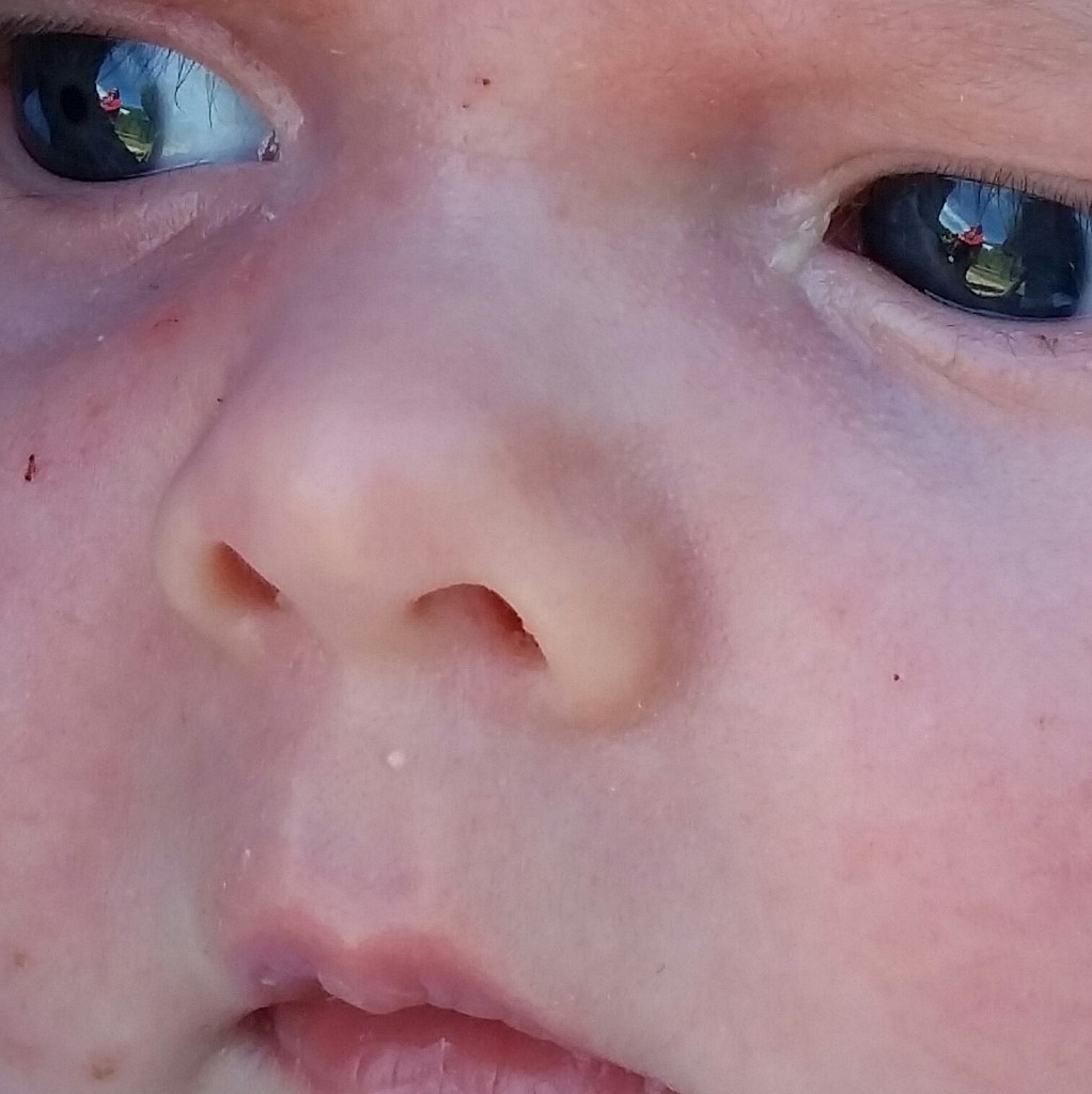 Through Baby's Eyes by photogypsy