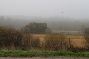 26th Sep 2015 - Another foggy morning in Kerava