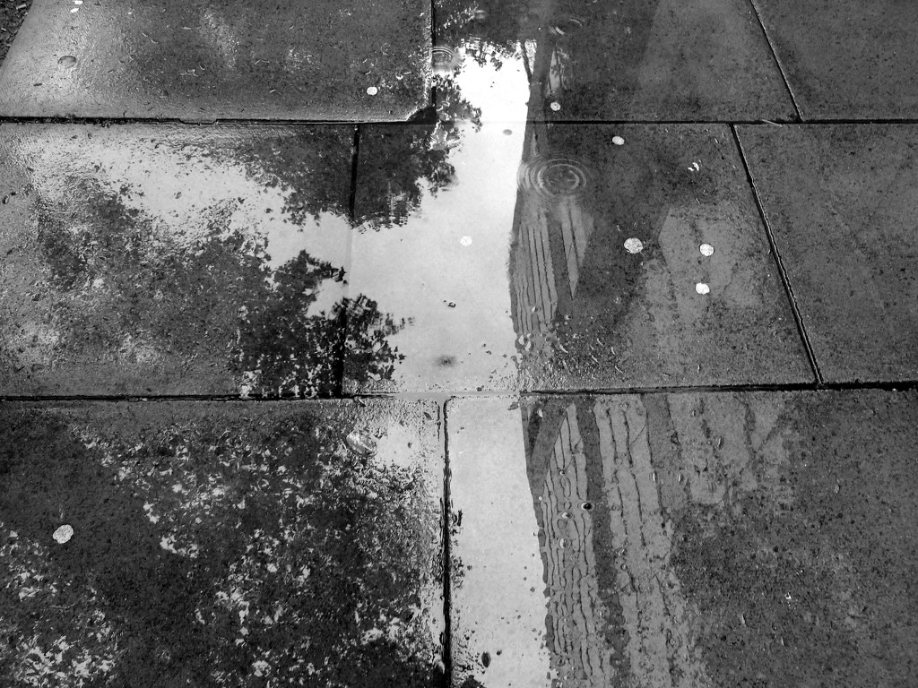 Puddle by boxplayer