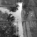 Puddle by boxplayer