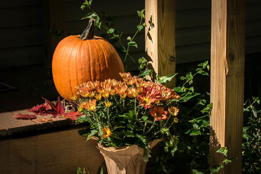 Pumpkin on the Porch by ckwiseman