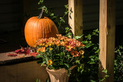 5th Oct 2015 - Pumpkin on the Porch