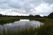 6th Oct 2015 - Sky and marsh, Old Towne Creek, Charleston, SC
